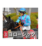 ⚫架空の競走馬で日常会話3【競馬・騎手】（個別スタンプ：6）