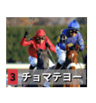 ⚫架空の競走馬で日常会話3【競馬・騎手】（個別スタンプ：8）