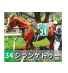 ⚫架空の競走馬で日常会話3【競馬・騎手】（個別スタンプ：11）