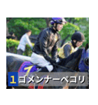 ⚫架空の競走馬で日常会話3【競馬・騎手】（個別スタンプ：30）