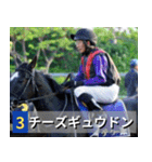 ⚫架空の競走馬で日常会話3【競馬・騎手】（個別スタンプ：33）