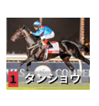 ⚫架空の競走馬で日常会話3【競馬・騎手】（個別スタンプ：34）