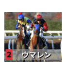 ⚫架空の競走馬で日常会話3【競馬・騎手】（個別スタンプ：35）