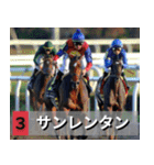 ⚫架空の競走馬で日常会話3【競馬・騎手】（個別スタンプ：36）