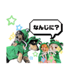 使える愛犬日常スタンプぅぅう（個別スタンプ：12）