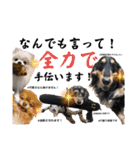 使える愛犬日常スタンプぅぅう（個別スタンプ：16）