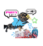 使える愛犬日常スタンプぅぅう（個別スタンプ：31）