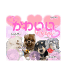 使える愛犬日常スタンプぅぅう（個別スタンプ：37）