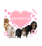使える愛犬日常スタンプぅぅう（個別スタンプ：38）