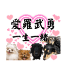 使える愛犬日常スタンプぅぅう（個別スタンプ：39）