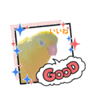 マメルリハ達24（個別スタンプ：15）