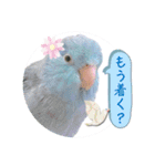 マメルリハ達24（個別スタンプ：17）