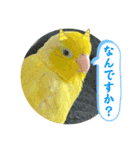 マメルリハ達24（個別スタンプ：19）