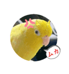 マメルリハ達24（個別スタンプ：23）
