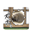 もふまる2025（個別スタンプ：3）