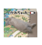 もふまる2025（個別スタンプ：8）
