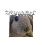 もふまる2025（個別スタンプ：14）