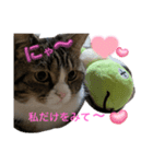 猫ちゃんとお友達仲睦まじい姿スタンプ達（個別スタンプ：3）