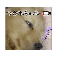 [LINEスタンプ] シェリーのごあいさつ集の画像（メイン）