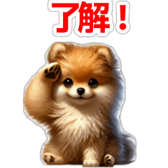 [LINEスタンプ] ポメラニアン子犬の動くスタンプ