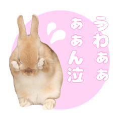 [LINEスタンプ] うさぎのめろくん