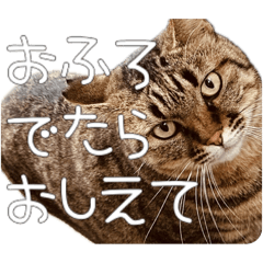 [LINEスタンプ] ごまーず