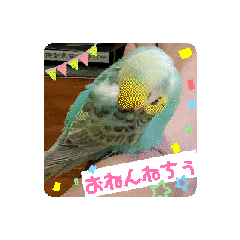 [LINEスタンプ] 黄色エメラルドグリーンセキセイインコ青色