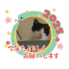 [LINEスタンプ] にゃ～んSticker(桜月＆ホームズ）年始