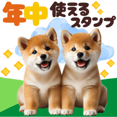 [LINEスタンプ] 年中使える♡柴犬