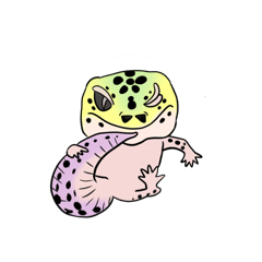 [LINEスタンプ] ヒョウモントカゲモドキのドゲッコーちゃん