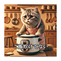 [LINEスタンプ] カレーを作る虚無顔の猫