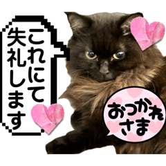 [LINEスタンプ] 黒猫 ルナ院長161にゃんめ