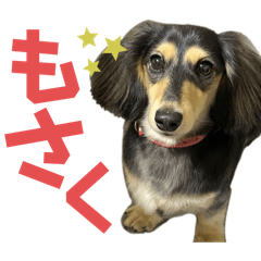 [LINEスタンプ] 【もさく】