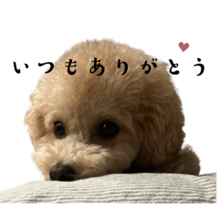 [LINEスタンプ] chao 2025