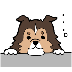 [LINEスタンプ] シェルティのカールくん