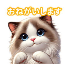 [LINEスタンプ] とにかくかわいい ラグドール