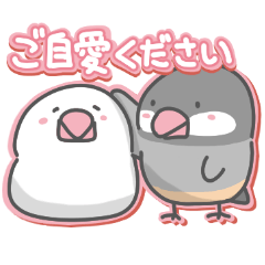 [LINEスタンプ] 文鳥の日常色々2