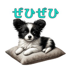 [LINEスタンプ] パピヨンパラダイス♡