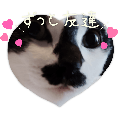 [LINEスタンプ] 猫ウニ