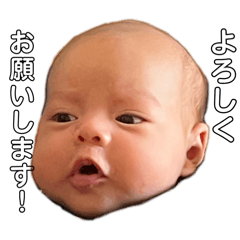 [LINEスタンプ] コンニチワ虎之介