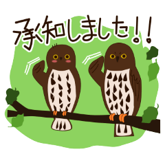 [LINEスタンプ] 野鳥さんスタンプ アオバズク多め