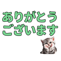 [LINEスタンプ] 【ねこシール】文字入りねこのスタンプ