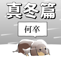 [LINEスタンプ] 新・激しく尻尾をふるイヌ【冬2】の画像（メイン）