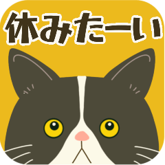 [LINEスタンプ] まだ休みたーい＊ハチワレぶーにゃん