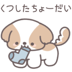 [LINEスタンプ] うちのかわいいシーズー