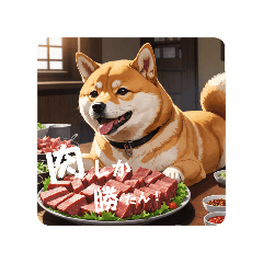 [LINEスタンプ] 柴犬（日常フレーズ）