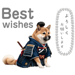 [LINEスタンプ] 柴犬太侍