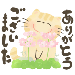 [LINEスタンプ] 1年中つかえる♡にっこり猫の感謝と挨拶