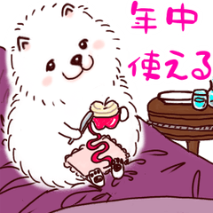 [LINEスタンプ] 白ポメの毎日使えるスタンプ