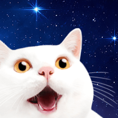 [LINEスタンプ] 動く！驚く！宇宙猫 -Space Cat-